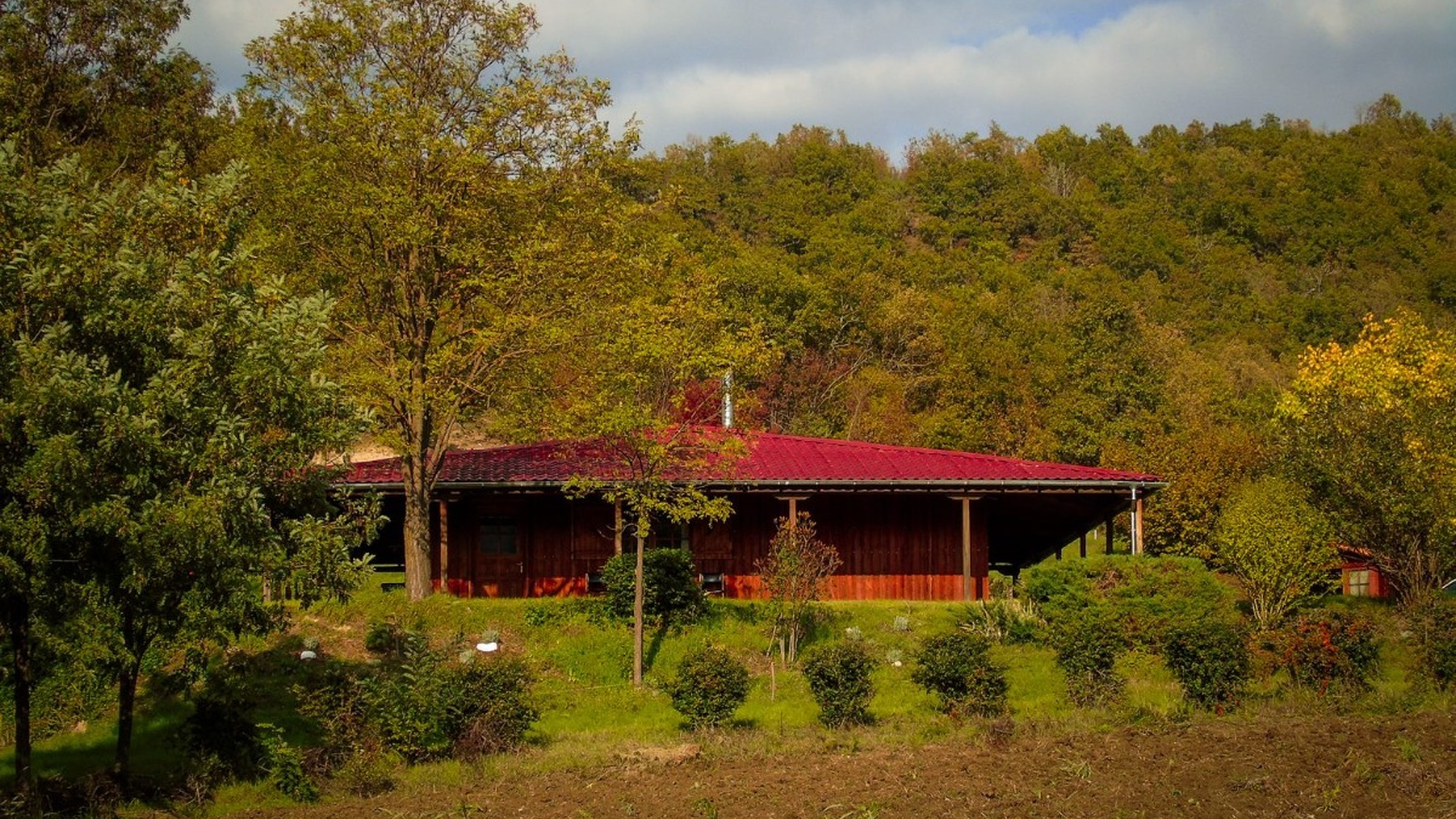 Pure Nature xxxxxxxxxxxxxxxxxxxxxxxxxxx